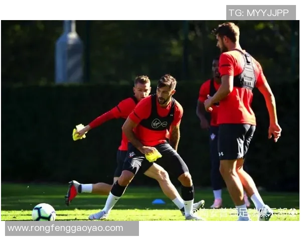 2018年狼队与伯明翰的激烈对决回顾与精彩瞬间分析